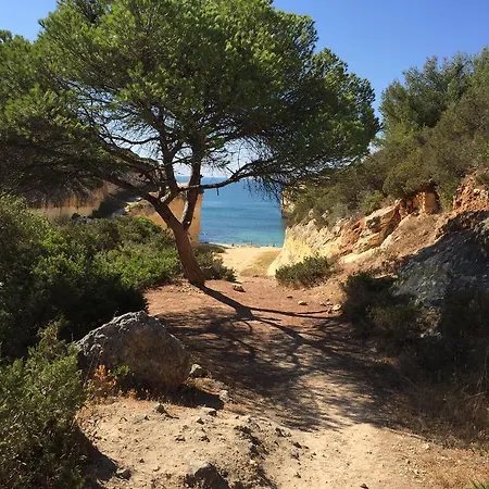 Sitio Da Marinha *